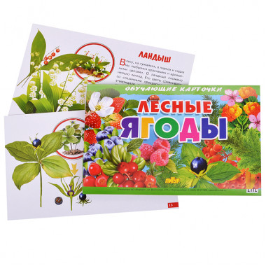 Обучающие карточки. Лесные ягоды Обучающие карточки. Лесные ягоды